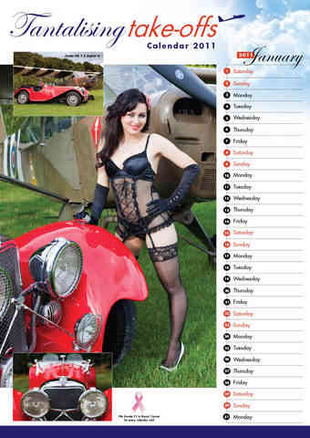 Pin up calendar preview