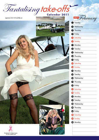Pin up calendar preview