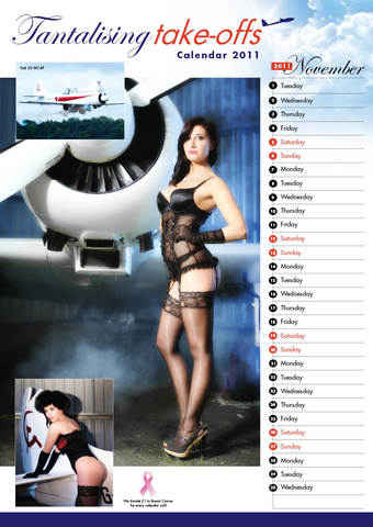 Pin up calendar preview