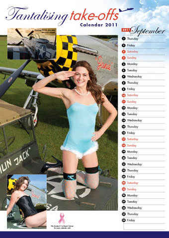 Pin up calendar preview