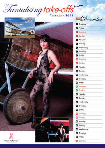 Pin up calendar preview