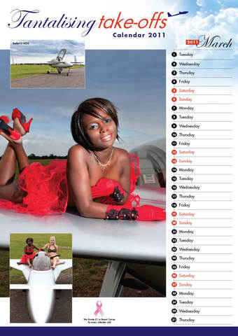Pin up calendar preview