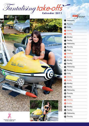Pin up calendar preview